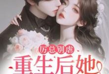 完结版《报告总裁!夫人她重生后立马退婚了》章节阅读-艾米文学