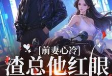 求推荐可以免费阅读前妻心冷，渣总他红眼将人抵墙宠小说的网站-艾米文学