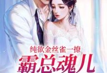 时苒司墨珩小说免费阅读完整版-艾米文学