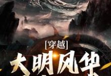 穿越：大明风华哥来承袭小说全文哪里可以免费看？-艾米文学