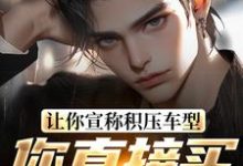 苏晨完整版小说《让你宣称积压车型，你直接买脱销？》免费阅读-艾米文学