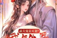 小说《前夫宠妾灭妻?我与他哥入帐欢》完整版在线章节免费阅读-艾米文学