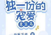 《独一份的宠爱【杀生丸】》烛衍完整版小说免费阅读-艾米文学