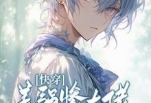 小说《快穿：美强惨大佬情迷钓系美人》完整版在线章节免费阅读-艾米文学