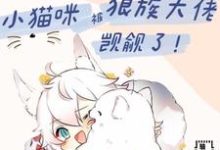 [兽世]小猫咪被狼族大佬觊觎了免费阅读，[兽世]小猫咪被狼族大佬觊觎了章节目录-艾米文学