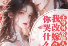 王爷另娶她人,我改嫁皇叔你哭什么苏清阮小说在线章节目录阅读最新章节-艾米文学