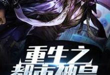 哪里能找到重生之都市神皇小说的全部章节？-艾米文学