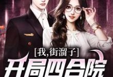 李爱党小说完整版《我，街溜子，开局四合院全员无好人》免费阅读-艾米文学