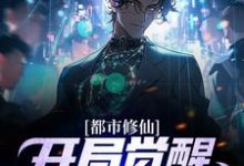 徐云澈苏娇儿小说完整版《都市修仙：开局觉醒萌妹子系统》免费阅读-艾米文学