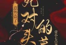 《意外盗了死对头的墓》全集免费在线阅读(司遇厉雍寻)-艾米文学