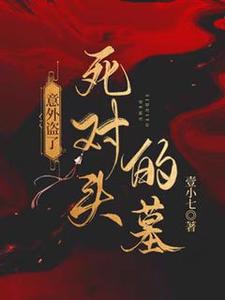 《意外盗了死对头的墓》全集免费在线阅读（司遇厉雍寻）