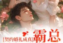 完整版的契约婚礼成真，霸总弱不禁风小说在哪里可以免费读到？-艾米文学