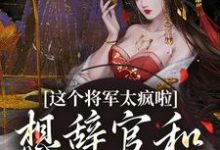 哪里可以免费找到这个将军太疯啦，想辞官和夫人贴贴？-艾米文学