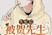 完结版《失忆后被贺先生偏爱了》章节阅读-艾米文学
