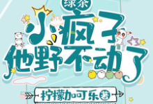 小说《绿茶小疯子他野不动了》章节免费阅读-艾米文学