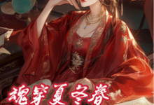 完结版《夏冬春穿越日记:我与华妃二三事》在线免费阅读-艾米文学