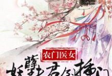 小说《农家医女:妖孽夫君倒插门》章节免费阅读-艾米文学