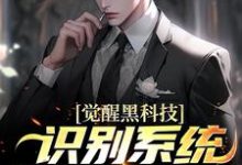 《觉醒黑科技识别系统，鹰酱天塌了》苏晨完整版小说免费阅读-艾米文学