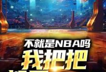 林克小说不就是NBA吗，我把把都是MVP在线阅读章节-艾米文学