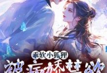 哪里能找到乖软小狐狸：被病娇禁欲男主宠爆小说的全部章节？-艾米文学