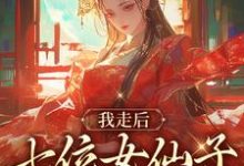 求我走后，七位女仙子回首说爱我小说的全文免费阅读链接-艾米文学