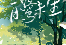 已完结小说《白鹭未生》章节在线阅读-艾米文学