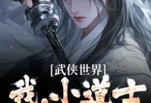 小说《武侠世界：我，小道士，已无敌》完整版章节免费阅读-艾米文学