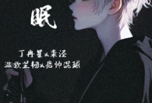 港眠小说的免费电子版在哪里可以下载或阅读?-艾米文学