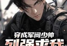 完结版《穿成军阀少帅，列强求我别扩军了》在线免费阅读-艾米文学