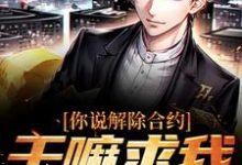 陆洲小说免费阅读完整版-艾米文学