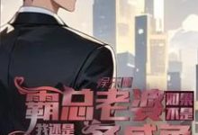 岳琰明洛红颜小说免费阅读完整版-艾米文学