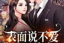 秦芷斯慎明小说完整版《表面说不爱，背地里他疯了》免费阅读-艾米文学