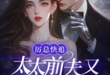 在线寻找厉总快追，太太前夫又找上门了！小说的无删减版本-艾米文学