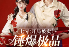 七零：开局被卖？锤爆极品嫁军官免费阅读，七零：开局被卖？锤爆极品嫁军官章节目录-艾米文学