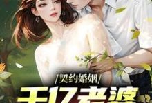《契约婚姻：千亿老婆太撩人》沈浪沈妙涵完整版小说免费阅读-艾米文学