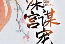 苏菱魏宸州小说深宫谋宠在线阅读章节-艾米文学