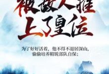 《被追杀的我，被敌人推上了皇位》夏天司马兰小说免费阅读完整版-艾米文学