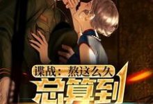 《谍战：熬这么久，总算到美人计了》小说章节在线试读，《谍战：熬这么久，总算到美人计了》最新章节目录-艾米文学