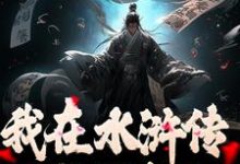 我在水浒传里收拢好汉小说全文阅读需要付费吗？寻找免费资源-艾米文学