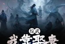 免费在线阅读综武：我靠娶妻福气缠身小说的正规网站有哪些？-艾米文学