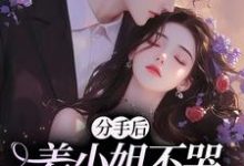 姜绾小说免费阅读完整版-艾米文学