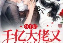 姜黛霍时宴小说免费阅读完整版-艾米文学
