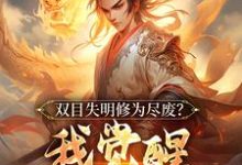 叶无尘完整版小说《双目失明修为尽废？我觉醒盖世武魂》免费阅读-艾米文学