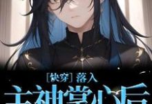 小说《［快穿］落入主神掌心后逃不掉了》完整版在线章节免费阅读-艾米文学