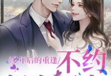 在线寻找多年后的重逢,不约,姐有男友小说的无删减版本-艾米文学