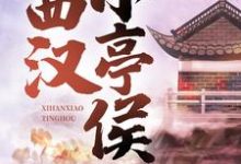 《西汉小亭侯》赵启明解忧静安公主小说免费阅读完整版-艾米文学