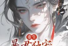 《重生：暴君独宠掌中后》完整版小说免费阅读-艾米文学