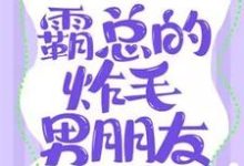 霸总的炸毛男朋友小说完结版章节免费阅读-艾米文学