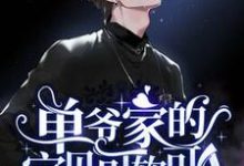 免费看单爷家的宝贝可软可A小说的网站有哪些？-艾米文学