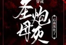【末世】穿成圣母炮灰后我黑化了沈知白贺栖小说免费阅读-艾米文学